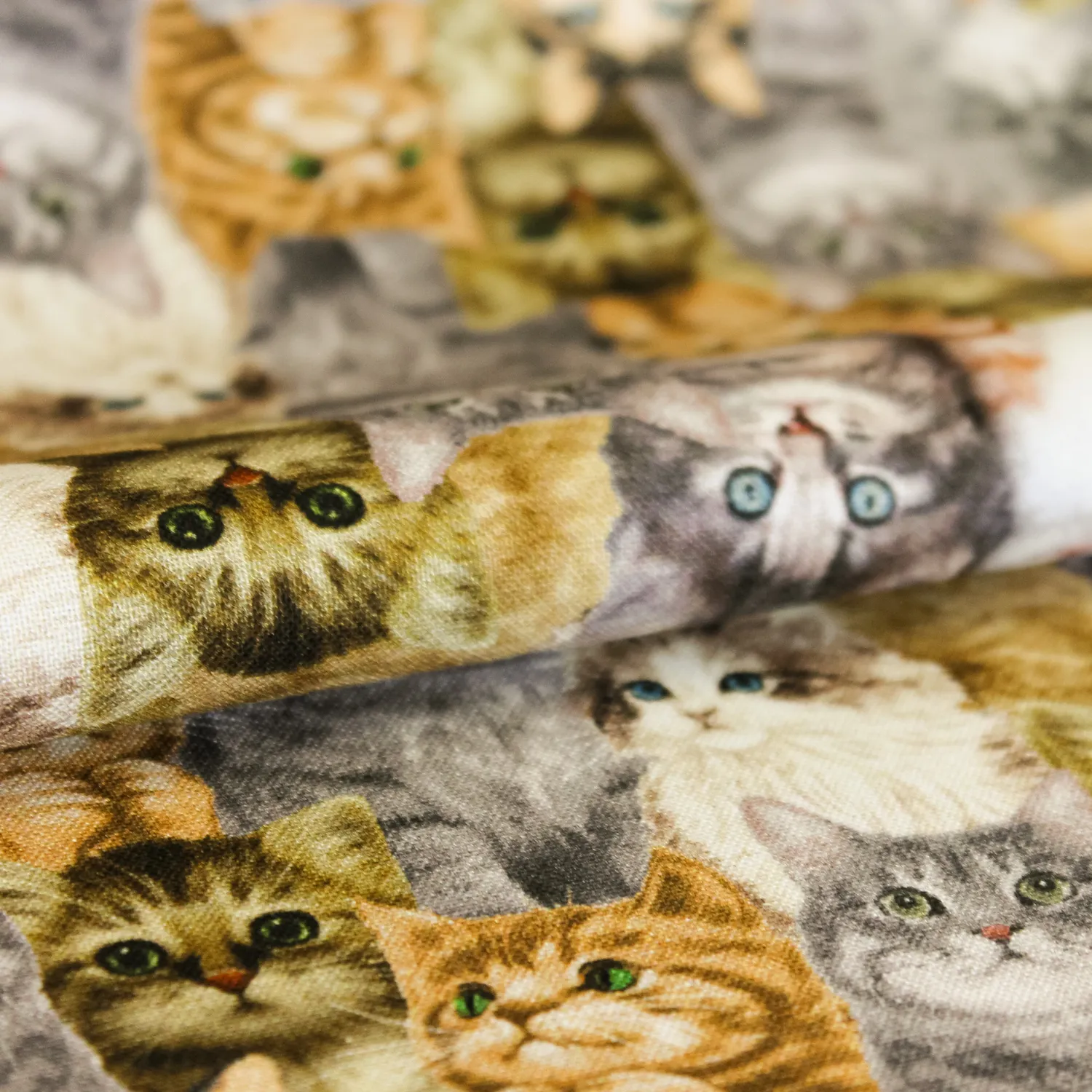 Katoen multicolor met kleine katten